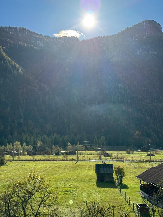 Haus Edelweiss Hotel Obertraun Exterior photo